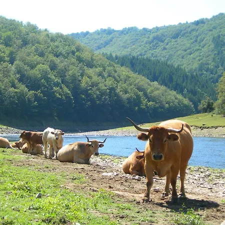 Aldeamento Turístico Vvf Aubrac