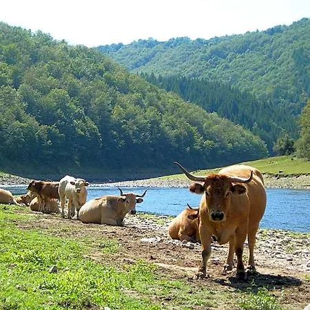 Vvf Aubrac