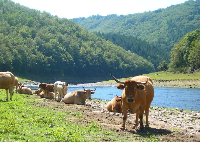 Village de vacances Vvf Aubrac