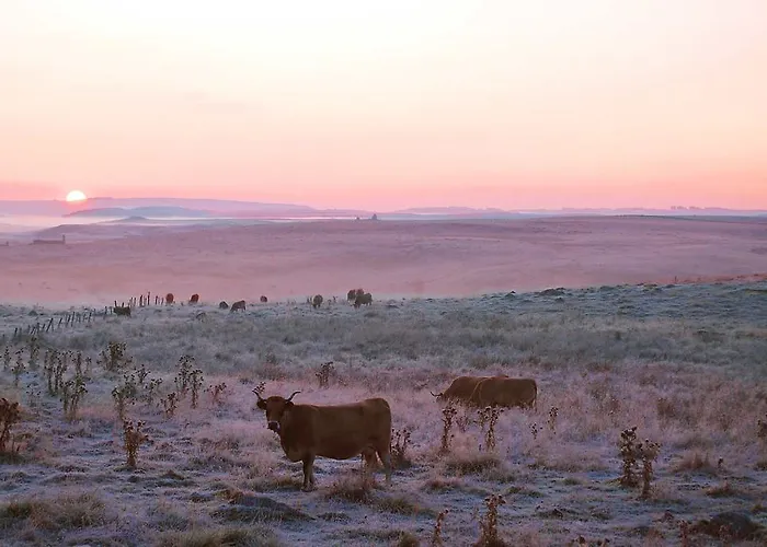 Village de vacances Vvf Aubrac Chaudes-Aigues